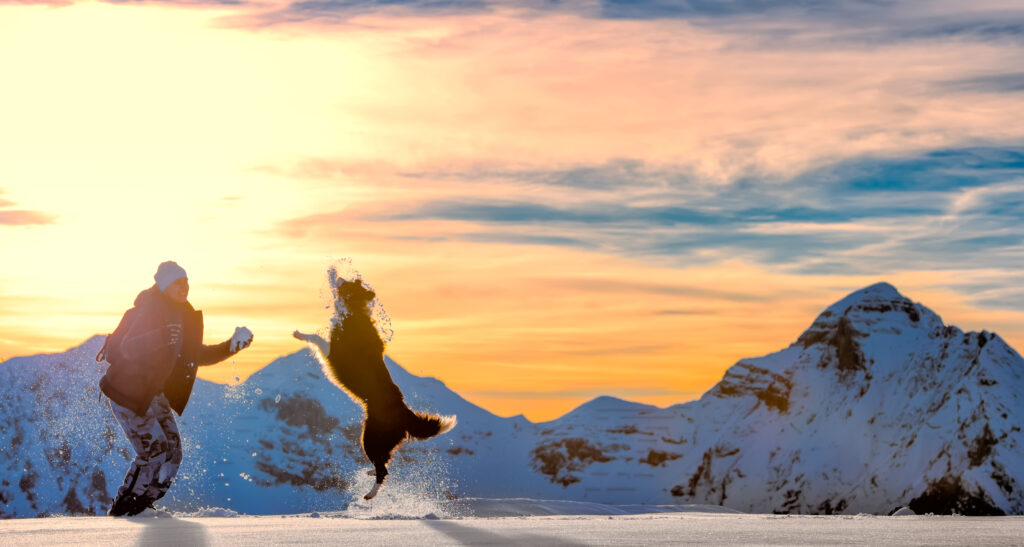 Titre de l&rsquo;article lorem ipsum dolor sit amet, consetetur sadipscing elitr, sed diam