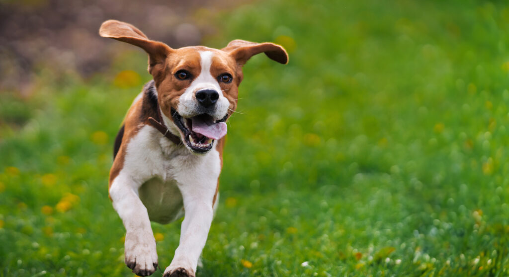 Titre de l&rsquo;article lorem ipsum dolor sit amet, consetetur sadipscing elitr, sed diam