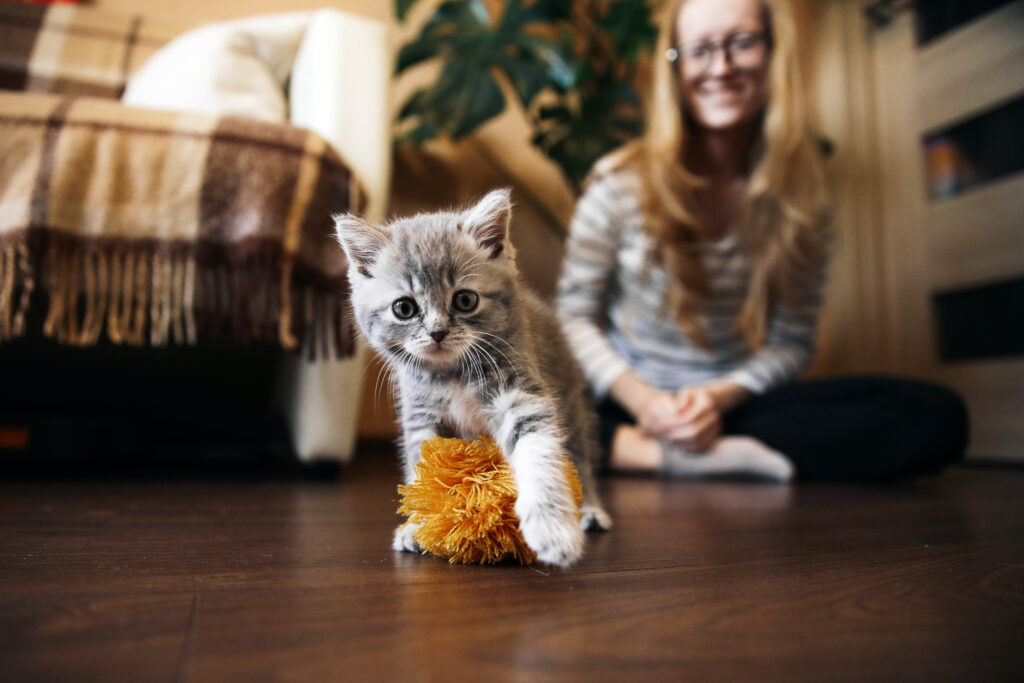 Titre de l&rsquo;article lorem ipsum dolor sit amet, consetetur sadipscing elitr, sed diam