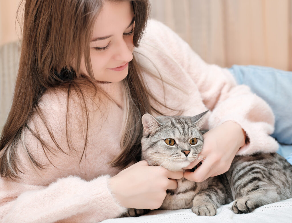 Titre de l&rsquo;article lorem ipsum dolor sit amet, consetetur sadipscing elitr, sed diam